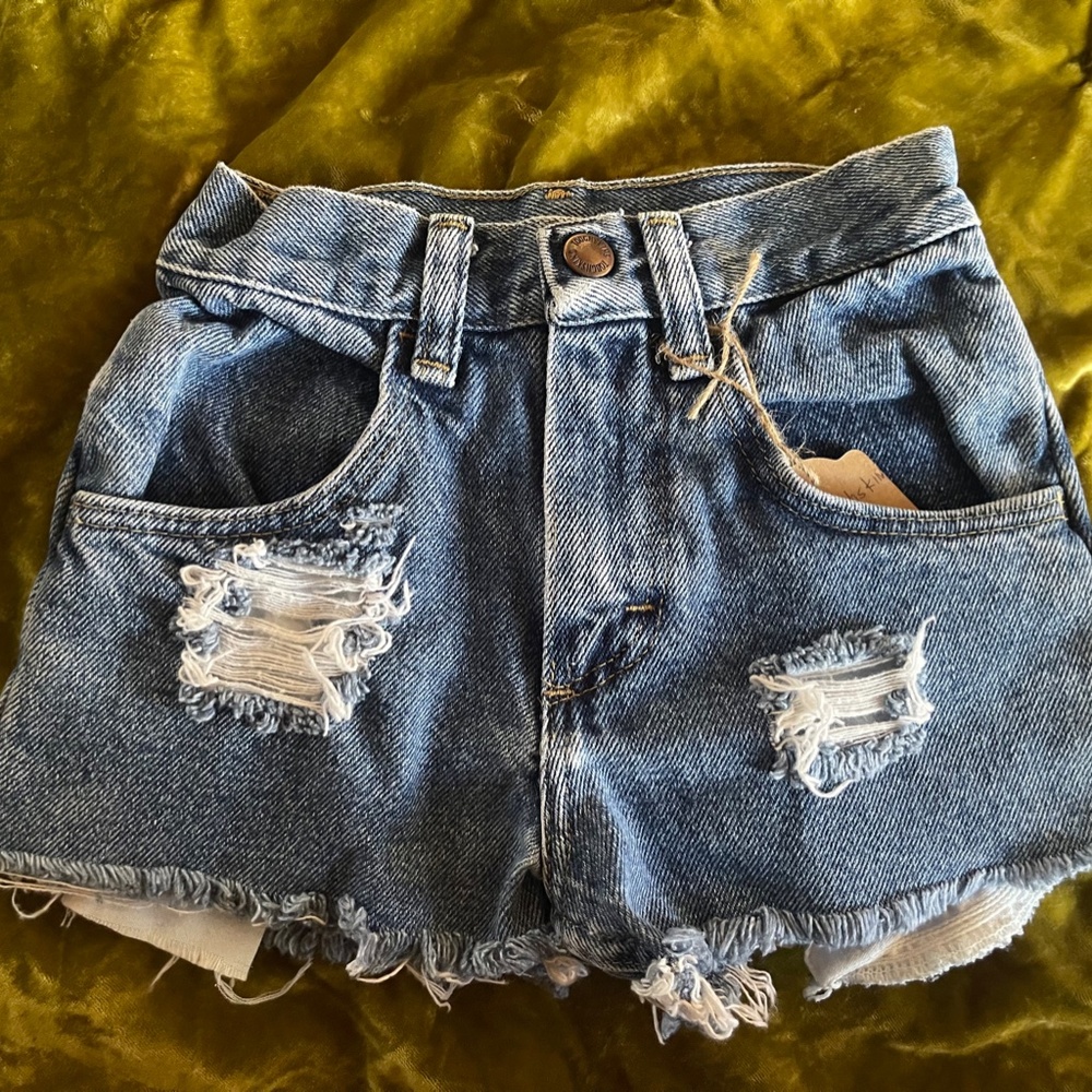 Vintage Toughskin Distressed Shorts